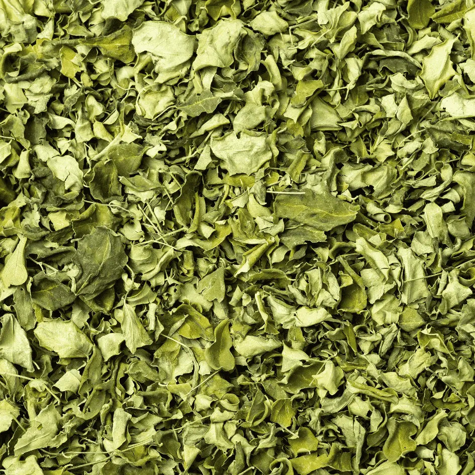 Party Girl - Infusion de feuilles de Moringa tiara-infusions